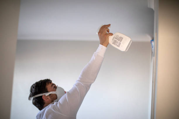 Best Commercial Mold Removal  in Timberlane, IL
