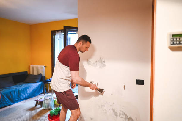 Best Mold Cleaning Services  in Timberlane, IL